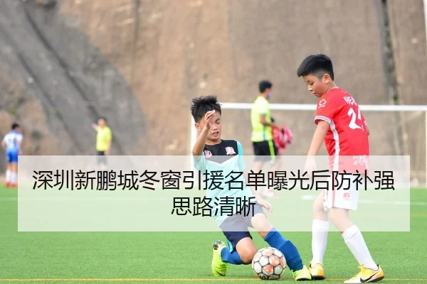 深圳新鹏城冬窗引援名单曝光后防补强思路清晰